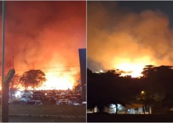 Incêndio de grandes proporções atinge mata ao lado de universidade, em Goiânia