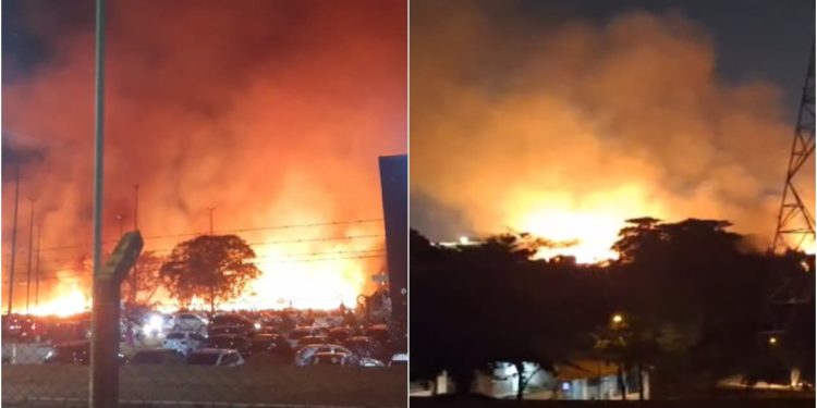 Incêndio de grandes proporções atinge mata ao lado de universidade, em Goiânia