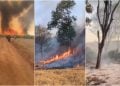 Mulher morre carbonizada durante combate a incêndio em fazenda de Goiás