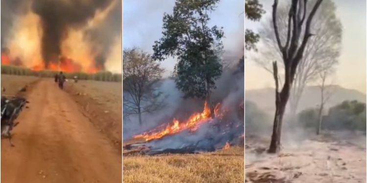 Mulher morre carbonizada durante combate a incêndio em fazenda de Goiás