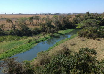 Rio Meia Ponte entra no nível crítico 3 após 135 dias sem chuvas em Goiânia