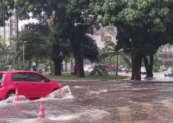 Chuva em Goiânia alaga ruas, derruba árvores e deixa pessoas ilhadas