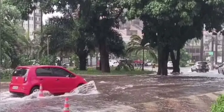 Chuva em Goiânia alaga ruas, derruba árvores e deixa pessoas ilhadas