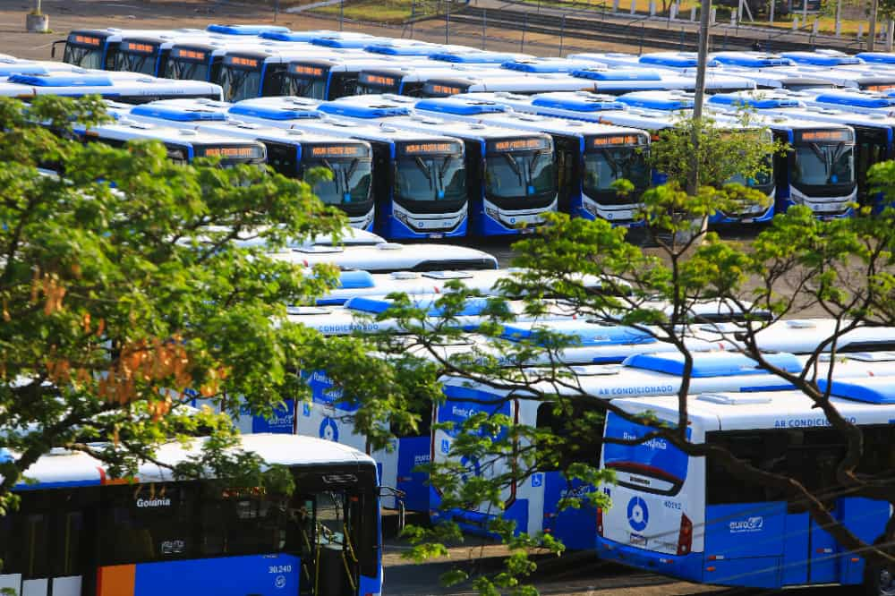 Novos ônibus do transporte coletivo