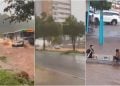 Chuva em Goiânia deixa ruas alagadas e causa queda de árvores; veja vídeos