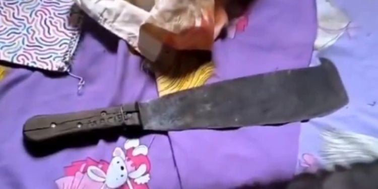 Homem tenta matar nora com golpe de podão, mas atinge cabeça da neta de 9 anos, em Goiás