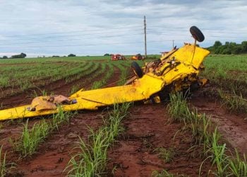 Veja quem era o piloto que morreu após avião cair em fazenda de Goiás