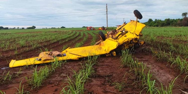 Veja quem era o piloto que morreu após avião cair em fazenda de Goiás