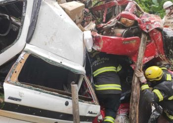 Acidente com caminhão carregado de defensivo agrícola deixa dois mortos na GO-164