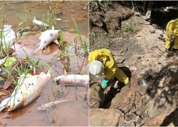 Descontaminação do Rio Vermelho é finalizada após acidente com caminhão de agrotóxicos