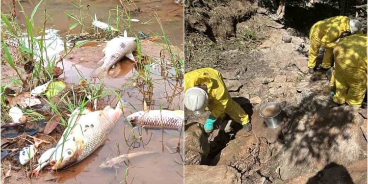 Descontaminação do Rio Vermelho é finalizada após acidente com caminhão de agrotóxicos