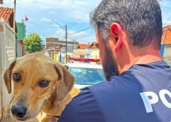 Polícia prende suspeito de maus-tratos após resgatar animal sem alimento, em Goiânia