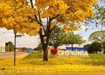 Prefeitura em Goiás abre inscrições para concurso com salários de até R$ 8 mil