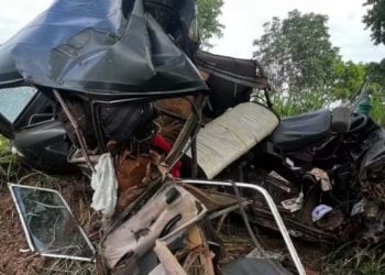 Criança morre e pai fica ferido após carro desviar de capivara na GO-118, em Monte Alegre