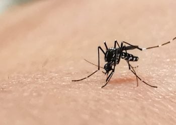 Casos de dengue em Goiânia aumentam e chegam a quase 3 mil neste início de ano