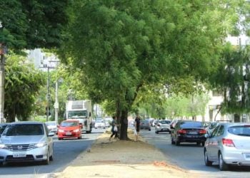 Sindilojas-GO teme prejuízos ao comércio com proibição de estacionamentos em ruas de Goiânia