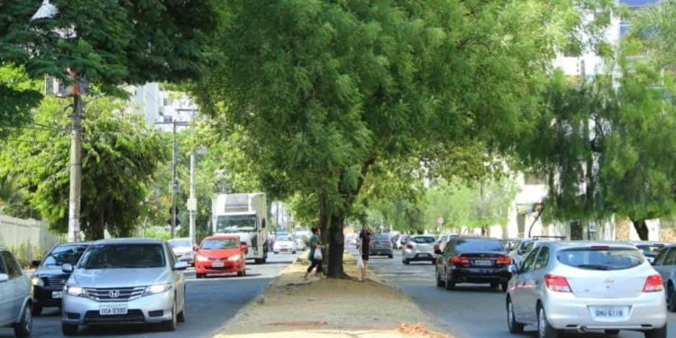 Sindilojas-GO teme prejuízos ao comércio com proibição de estacionamentos em ruas de Goiânia