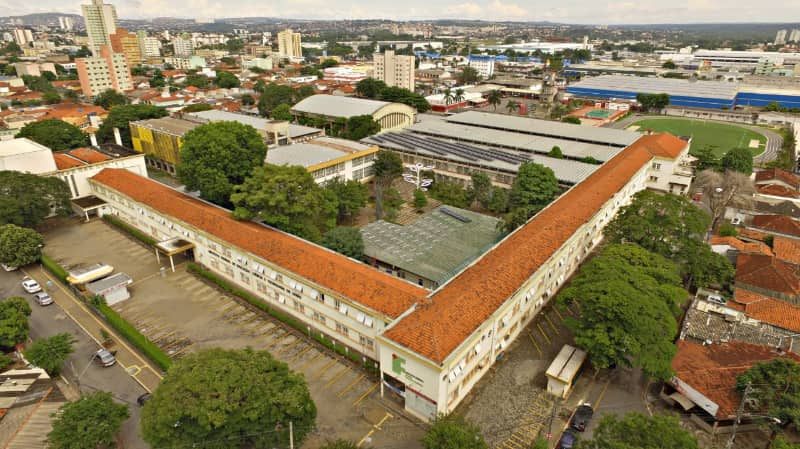 Professores temporários