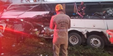 Passageiro morre após acidente entre ônibus e caminhão na BR-020, em Goiás