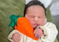 Hospital em Goiás realiza ensaio de páscoa com bebês; veja fotos