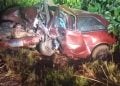 Colisão entre carros deixa três mortos, incluindo uma criança, na GO-164