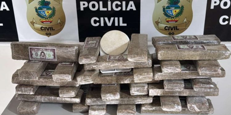https://www.policiacivil.go.gov.br/delegacias/regionais/pcgo-desarticula-associacao-criminosa-e-apreende-droga-avaliada-em-meio-milhao-de-reais-em-anapolis/