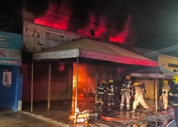 Incêndio atinge loja agropecuária e mata animais queimados, em Trindade