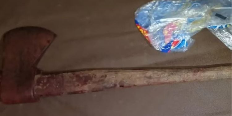 Mãe é presa suspeita de matar filho com golpes de machado na cabeça, em Buriti Alegre