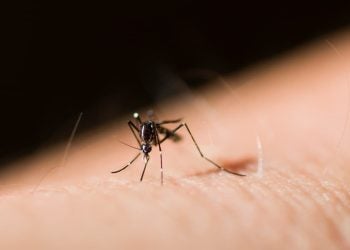 SES investiga morte de jovem de 23 anos com suspeita de dengue em Aparecida de Goiânia