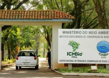 ICMBio abre concurso com vagas em Goiás; sabia como se inscrever