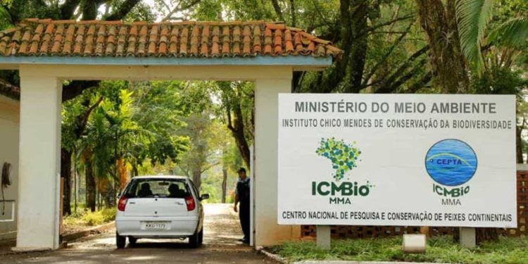 ICMBio abre concurso com vagas em Goiás; sabia como se inscrever