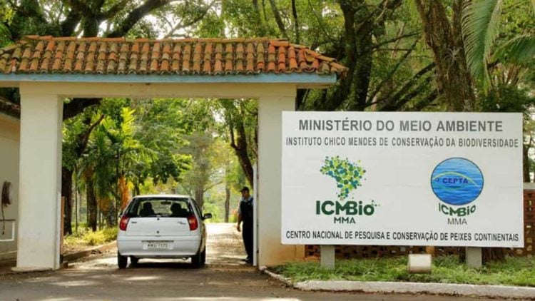 ICMBio abre concurso com vagas em Goiás; sabia como se inscrever