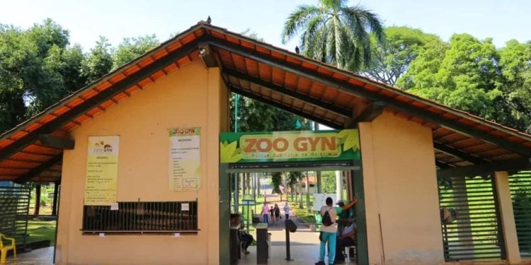 Zoológico de Goiânia reabre após teste negativo para gripe aviária