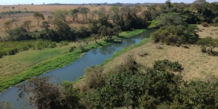 Rio meia ponte extra em estado de alerta em Goiás