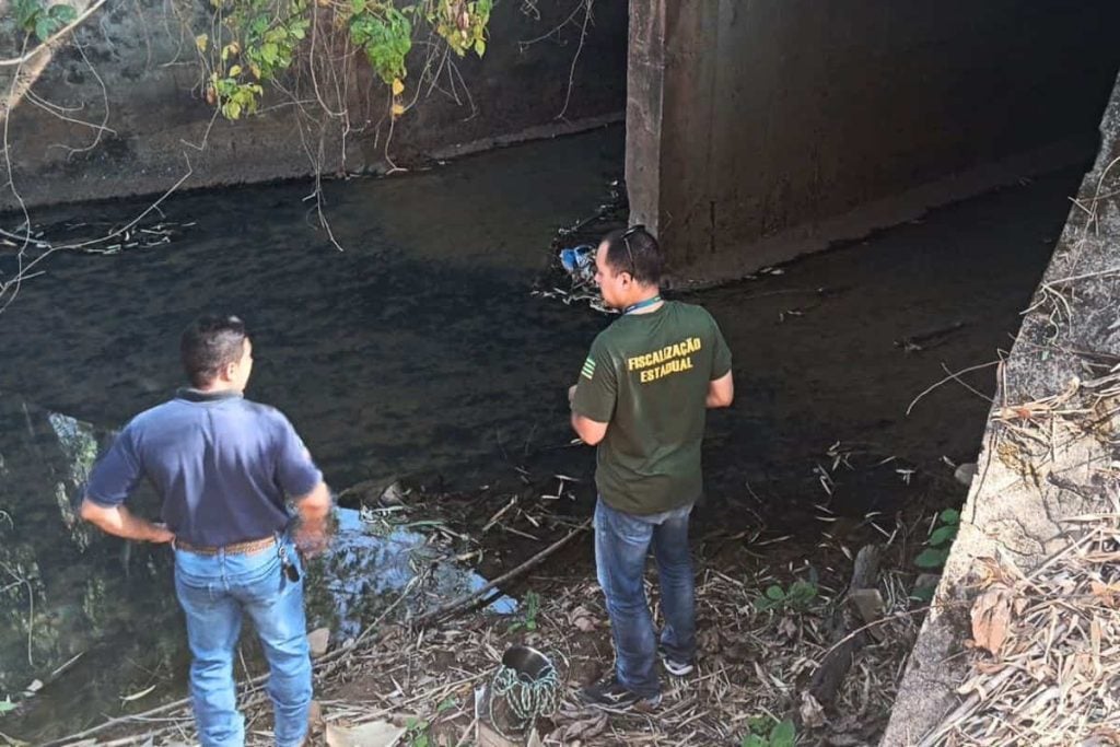 Polícia investiga crime ambiental após mortandade de peixes em córrego de Goiás