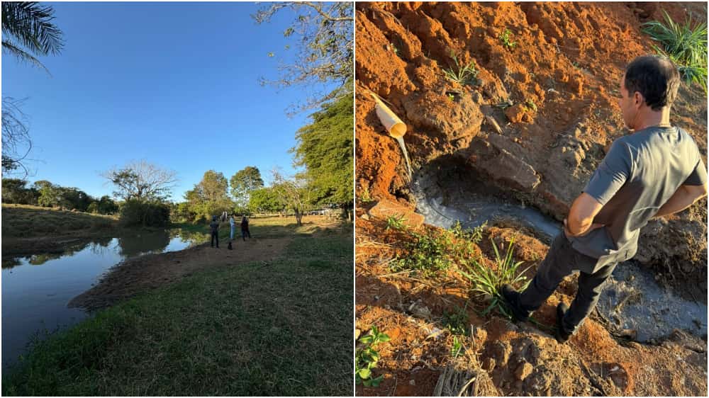 Polícia investiga crime ambiental após mortandade de peixes em córrego de Goiás