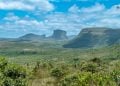 Saiba como votaram os deputados de Goiás na mudança do licenciamento ambiental