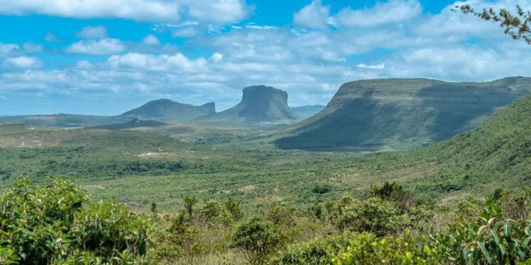 Saiba como votaram os deputados de Goiás na mudança do licenciamento ambiental