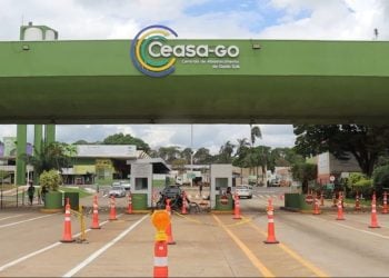 Trabalhador morre após ser atropelado por moto dentro da Ceasa, em Goiânia