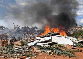Queimadas de lixo e folhas secas aumentam risco de incêndios em Goiânia