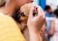 7ª edição do Adota Pet oferece 30 animais para adoção neste sábado (30) em Goiânia