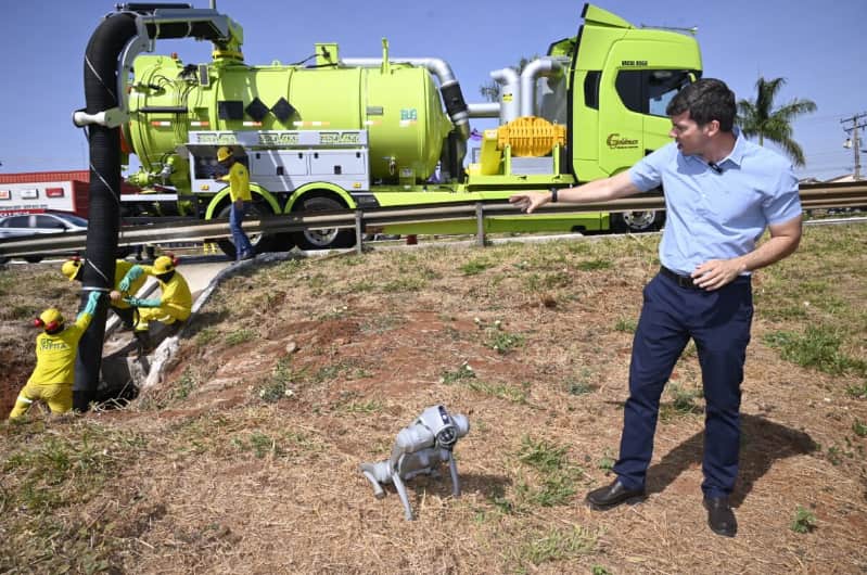Cães robôs