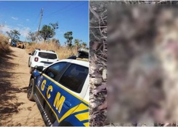 Corpo em estado de decomposição é encontrado em chácara em Aparecida de Goiânia