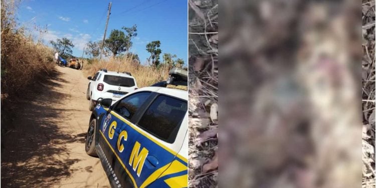 Corpo em estado de decomposição é encontrado em chácara em Aparecida de Goiânia