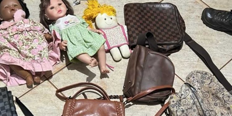 Mãe reconhece bolsa da filha encontrada na casa de suposto serial killer em Goiás