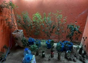 Foto: Divulgação/PCGO