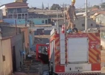 Idosa morre após ser atacada por cachorro em Anápolis