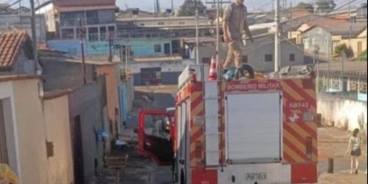 Idosa morre após ser atacada por cachorro em Anápolis