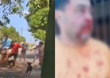 Discussão por frutos de ingá termina com morador de 59 anos espancado em Goiânia; vídeo