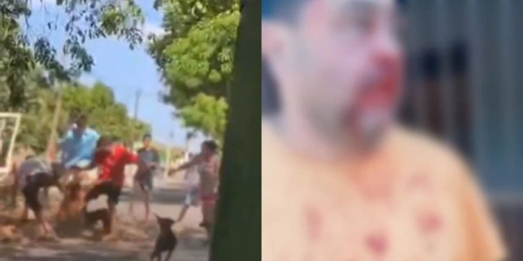 Discussão por frutos de ingá termina com morador de 59 anos espancado em Goiânia; vídeo